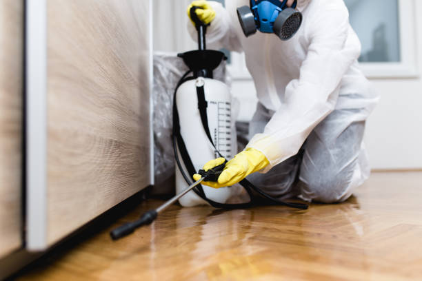 Wasp Removal Services in Elm Creek, NE