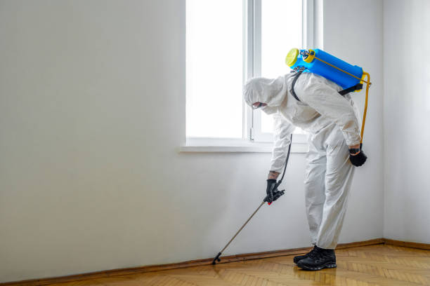 Reliable Elm Creek, NE Pest Control Solutions