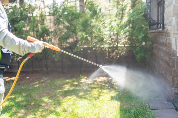 Flea Control Services in Elm Creek, NE