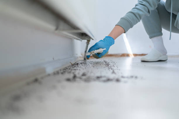Best Affordable Pest Control Services  in Elm Creek, NE